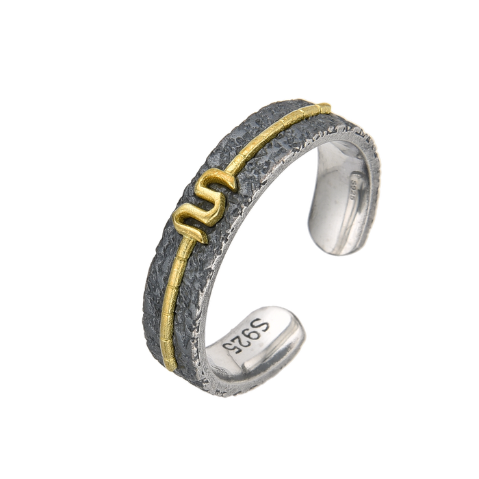 [full] Silver and gold ring on a white background