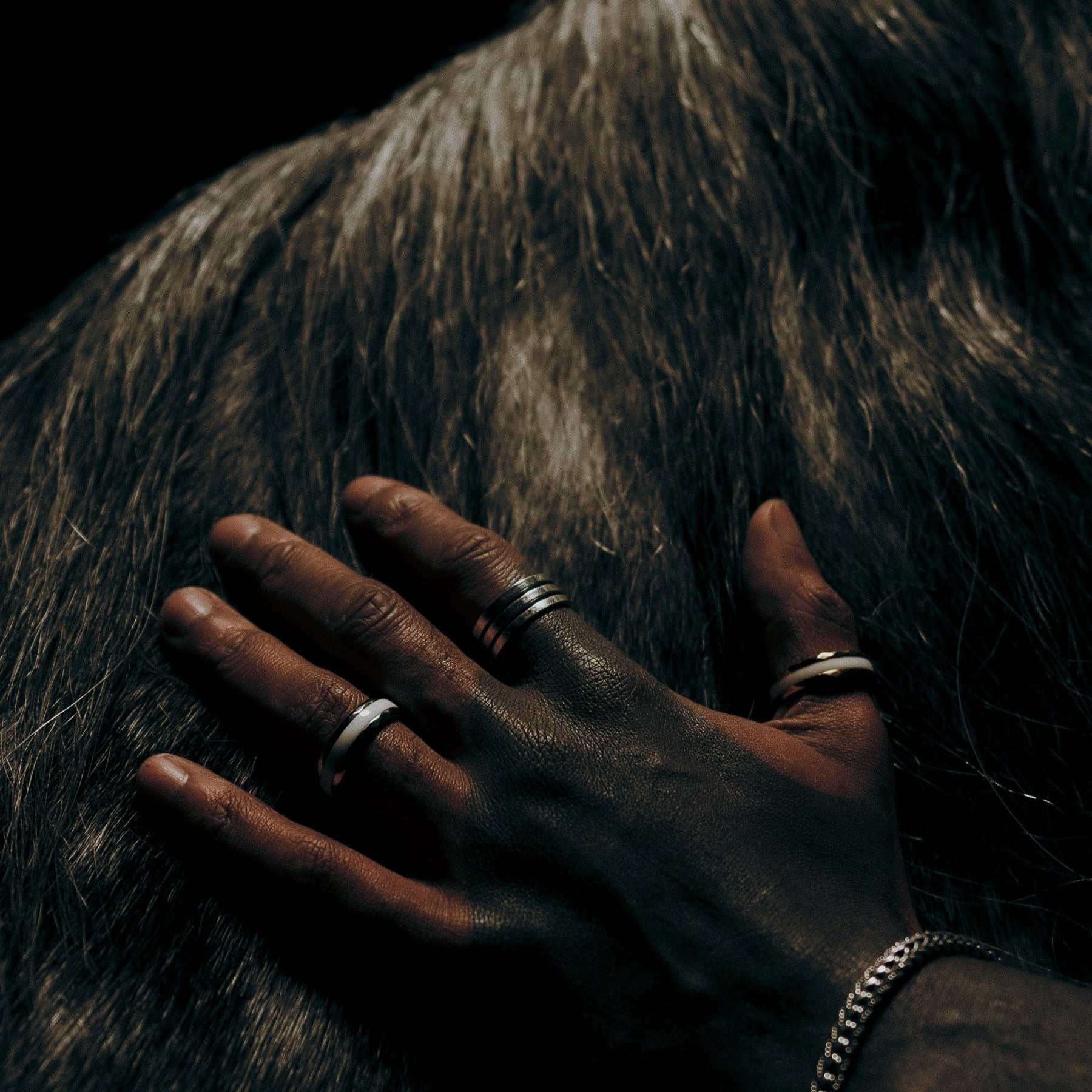 [full]- A hand touching a horse, wearing sterling silver ring and ceramic rings featuring a stainless steel edge
